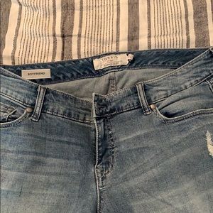 Torrid jeans